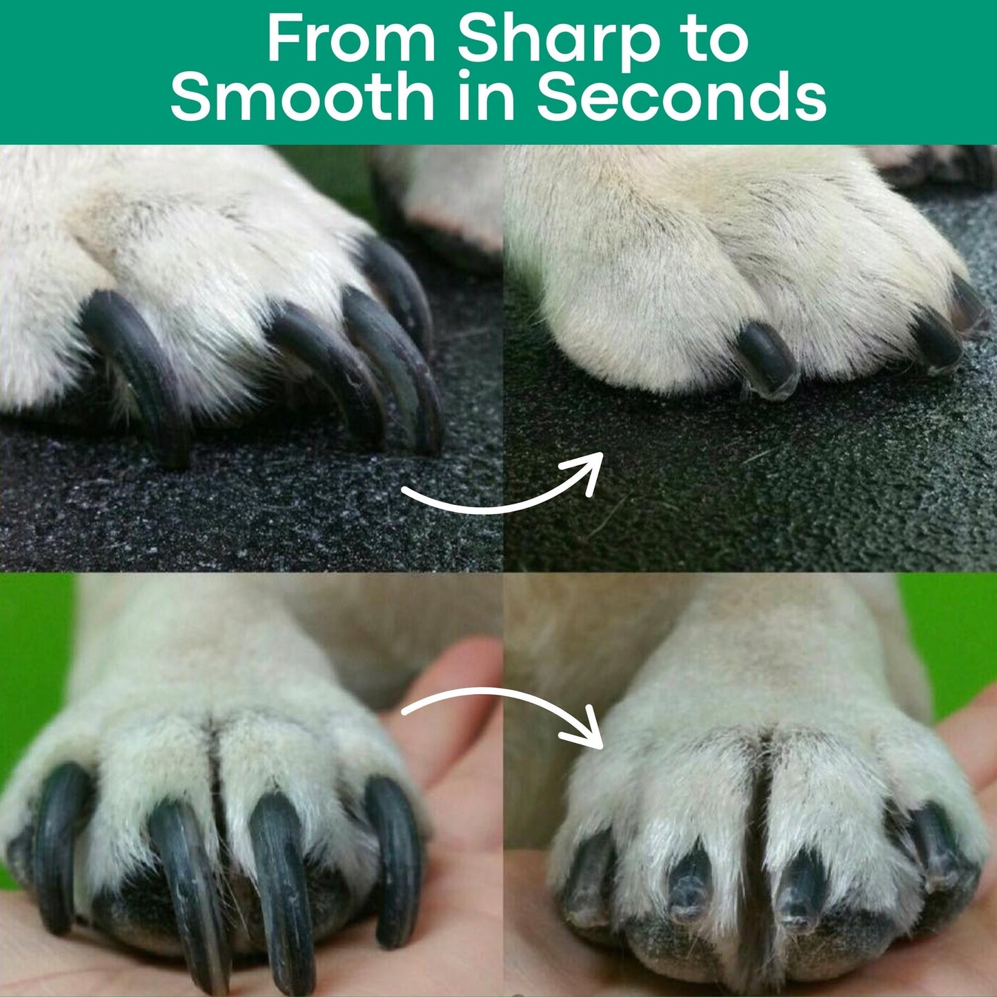 NailGuardian™  Safety Clippers